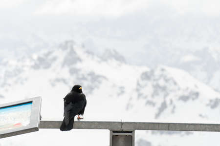 Dolomites in Italy in winterの写真素材