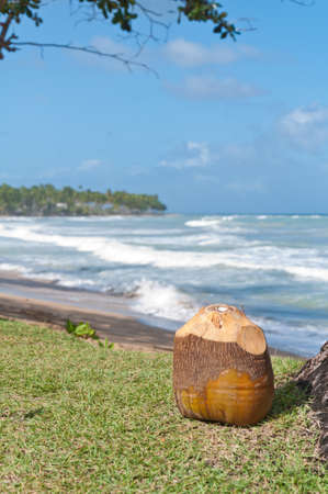 Caribbean sea and beachの写真素材