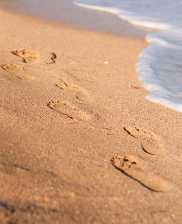 footprints on the beachの写真素材