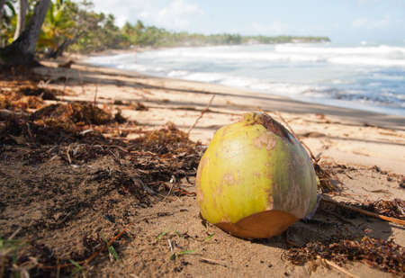 Caribbean sea and beachの写真素材