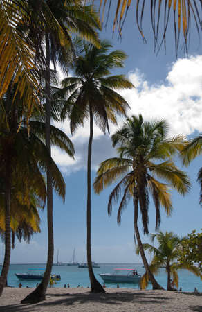 Caribbean sea and beachの写真素材