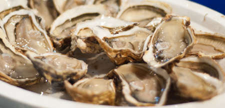 Fresh Oyster dishの写真素材