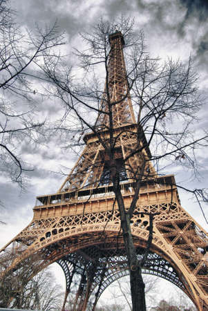 The Eiffel Tower in the branches of the tree の写真素材