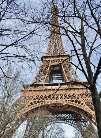 The famous Eiffel Tower in the branches of trees の写真素材