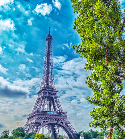 The tower and the tree.の写真素材