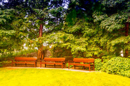 Garden in the City, London.の写真素材