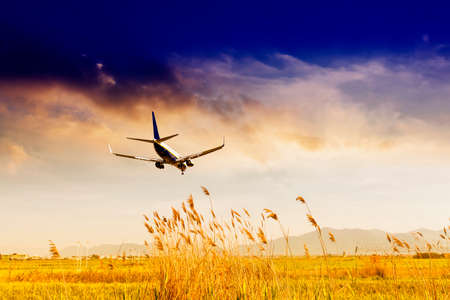 Aircraft in landing.のeditorial素材