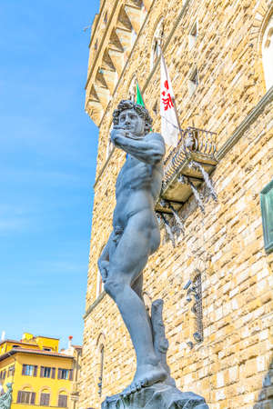 The Michelangelo's David.の写真素材