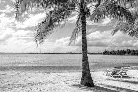 Relax on the beach.の写真素材