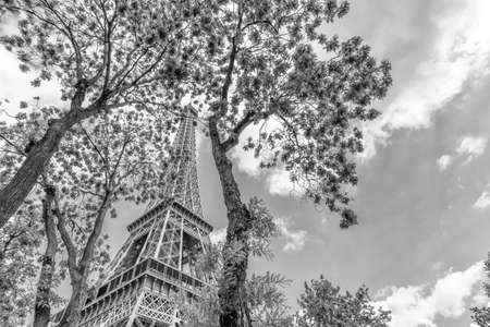 Beautiful view of Eiffel tower.の写真素材