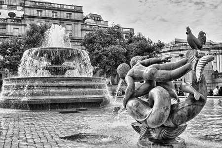 The fountain in Trafalgar Square.の写真素材