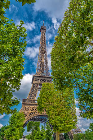 Tower Eiffel end its trees.の写真素材
