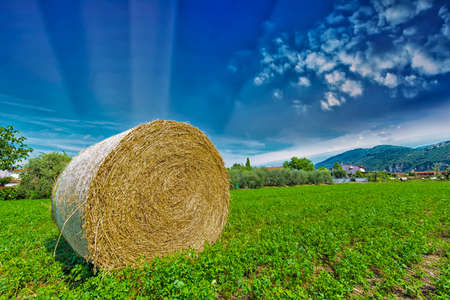 Bale hay with beautiful sky.の写真素材