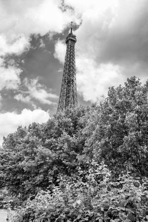 Colors under the tower.の写真素材