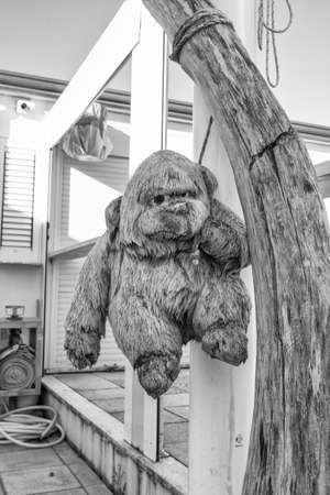 Old teddy bear plush.の写真素材