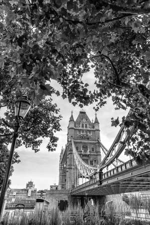 Different view of Tower Bridge.の写真素材