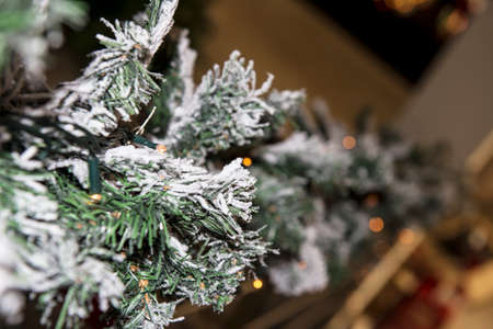Christmas ornaments.の写真素材