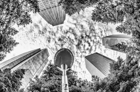 Skyscrapers in the City, London.の写真素材