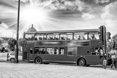 The red double decker bus.の写真素材