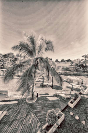 Swimming pool in resort.の写真素材