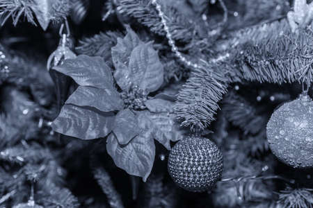 Christmas ornaments.