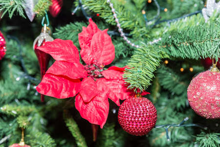 Christmas ornaments.の写真素材