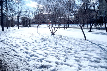 Moscow, winter garden.の写真素材