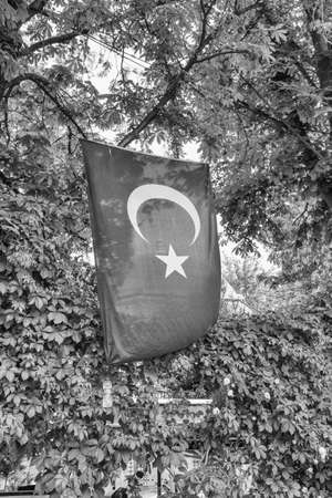 Turkey flag on the trees.の写真素材