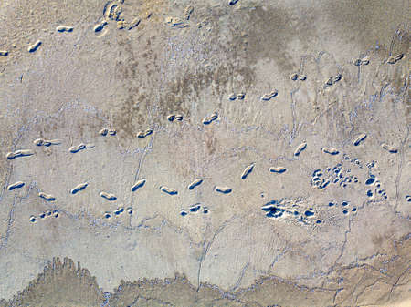 Footsteps of feet on the beach.の写真素材