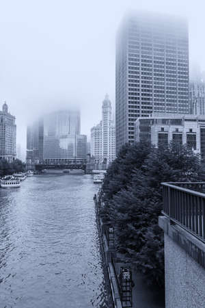 Skyscrapers of Chicago in the fog.の写真素材