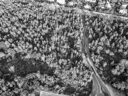 Aerial view from the drone of the Tuscan Mediterranean scrub.の写真素材