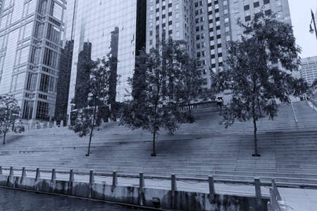 Trees planted on the banks along the river Chicago.の写真素材