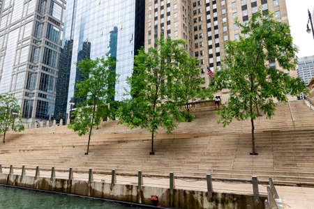 Trees planted on the banks along the river Chicago.の写真素材