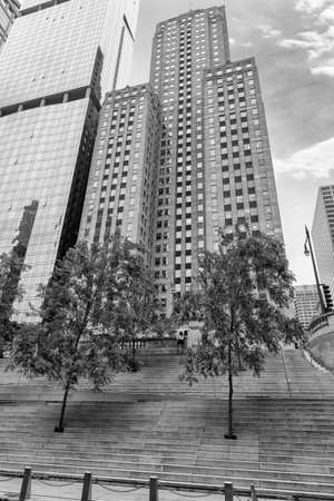 Trees planted on the banks along the river Chicago.の写真素材