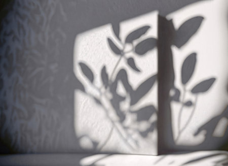 Shadow overlay effect for photo and mockups. Natural light casts shadows from plants and flowers.の素材