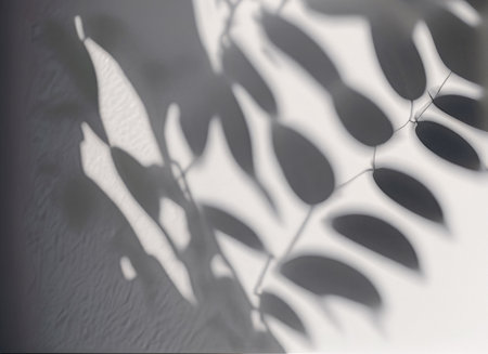 Shadow overlay effect for photo and mockups. Natural light casts shadows from a tree branch on a white wall.の素材