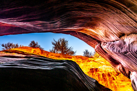 Hiking the Red Canyon Slot, or Peekaboo Kanab, on a sunny day looking up at the narrow opening to the sky.  The work of erosion, the smoothly curved walls of the canyon give way to bright sunshine, some trees, and a blue sky.の写真素材