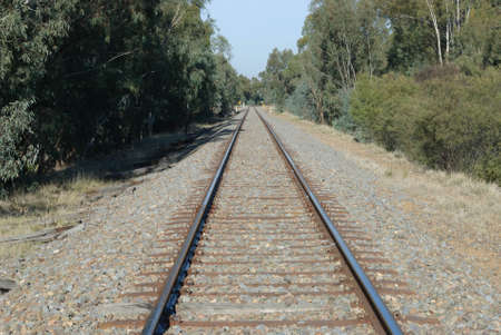 a railroad line passing between trees in the countryの写真素材