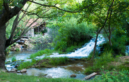 Waterfall in the forest. Summer landscape. Waterfall in the forest.の写真素材