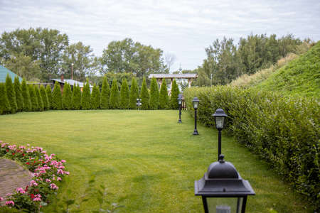 Perfectly cut backyard grassの写真素材