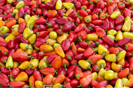 Tray on the market full of yellow red and orange paprikaの写真素材