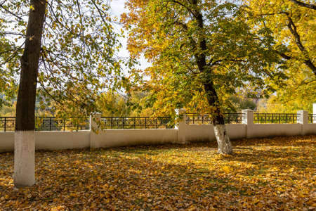Autumn city park view at ancient Vladimir cityの写真素材