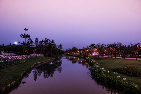 Canal and flowers in the park in the evening