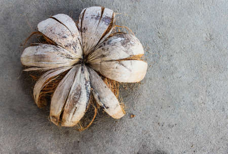 Coconut shell with a cement floor in the backgroundの写真素材