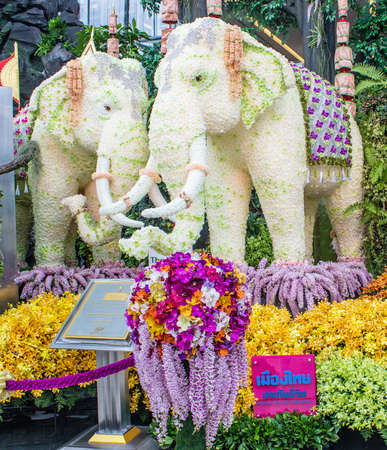 BANGKOK,THAILAND-JUNE6 : Elephant decorated with two white orchid species orchids on display at the event of 7th Siam Paragon Bangkok Royal Orchid Paradise on June 6, 2013 in Bangkok ,Thailand.のeditorial素材