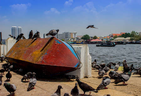 Bird Island Boat on the Chao Phraya River in Bangkok, Thailand の写真素材