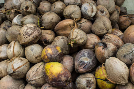 basket with coconuts.Coconut yellow and brownの写真素材