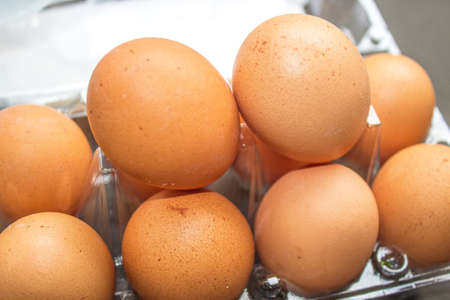 Eggs on a plastic box.Eggs isolated on white backgroundの写真素材