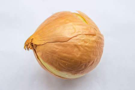 Fresh onion bulbs isolated on white background, clipping path included