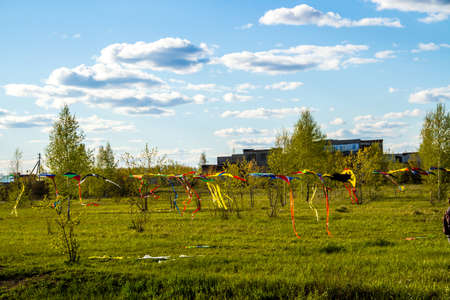 kites の写真素材